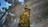 empireoftheantsscreens493705.jpg