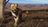 wayofthehunterhuntingseasonone484336.jpg