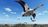 wayofthehunterhuntingseasonone484336.jpg