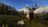 wayofthehunterhuntingseasonone484336.jpg
