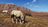 wayofthehunterhuntingseasonone484336.jpg