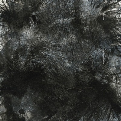 MUS000633458.jpg