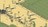 schimscreens493544.jpg