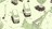 schimscreens493544.jpg