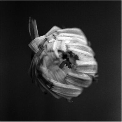 MUS000818090.jpg