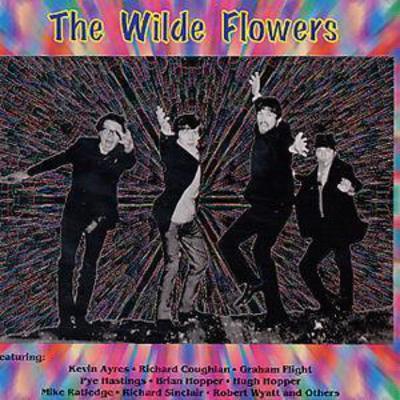 The Wild Flowers - The Wild Flowers CD Album - Used