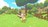 petitislandscreens500625.jpg