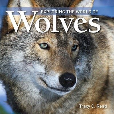 Exploring the world of wolves - Tracy C. Read - Paperback - Used