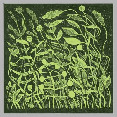 MUS000837486.jpg
