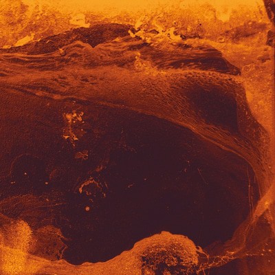 MUS000412679.jpg