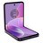 PI000000047854__Summer_Lilac__1.jpg