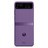 PI000000047854__Summer_Lilac__1.jpg