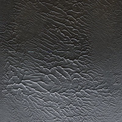 MUS000441519.jpg