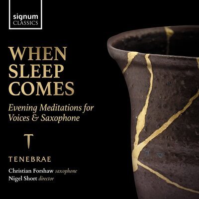 Tenebrae - When Sleep Comes: Evening Meditations for Voices & Saxophone CD Album - Used