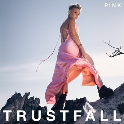P!nk - Trustfall CD Album - Used