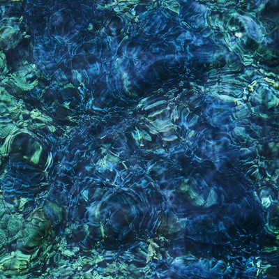 MUS000829286.jpg