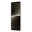 PI000000045189__Platinum_Silver__1.jpg