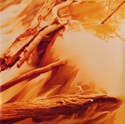 MUS000543616.jpg
