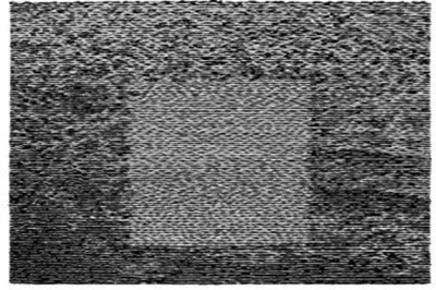 MUS000548884.jpg