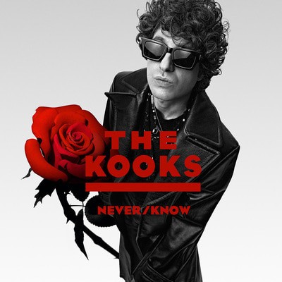 The Kooks - Never/Know CD Album - Used