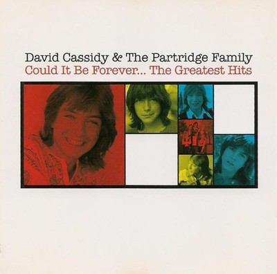 David Cassidy - Could It Be Forever... The Greatest Hits CD Album - Used