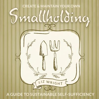 Create & maintain your own smallholding - Liz Wright - Paperback - Used
