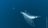 sp101347768386024.jpg