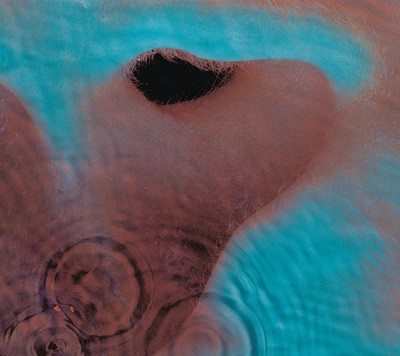 MUS000587826.jpg