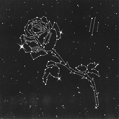 MUS000852500.jpg