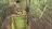 sp101284928773728.jpg