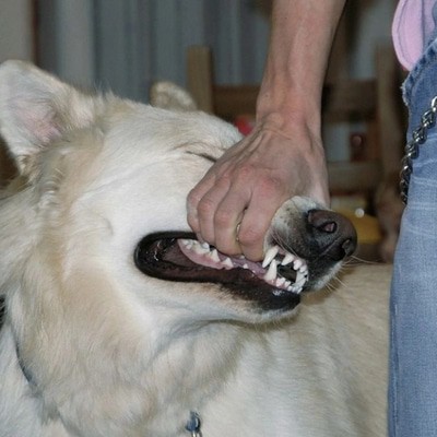 MUS000803347.jpg