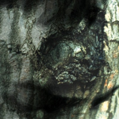 MUS000368116.jpg