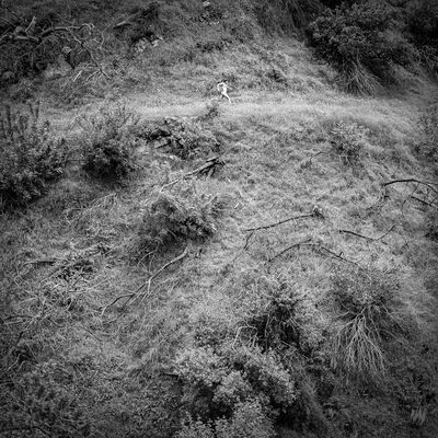 MUS000853394.jpg