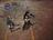 sp101235957156601.jpg