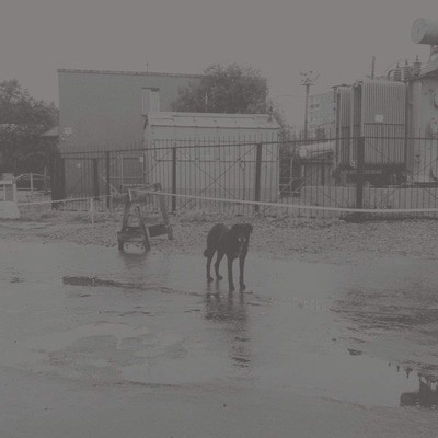 MUS000596915.jpg
