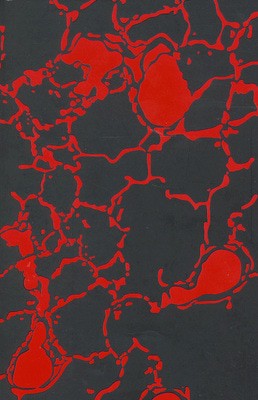 9780575081093.jpg