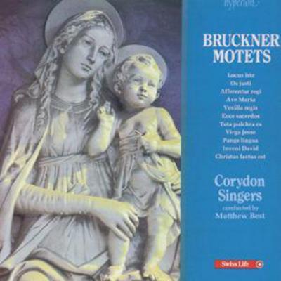 Anton Bruckner - Bruckner Motets CD Album - Used