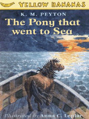 9780749731120.jpg