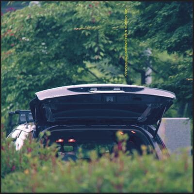 Eiko Ishibashi & Jim O'Rourke — Pareidolia