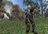 sp101280532974199.jpg