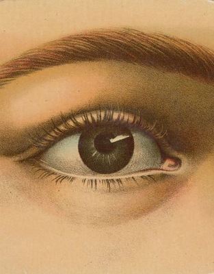 9781579656478.jpg