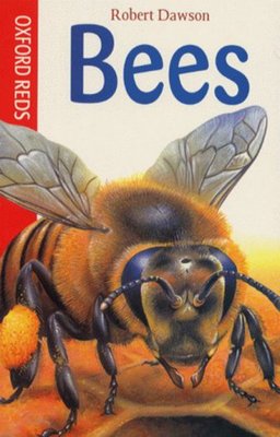 9780199106196.jpg
