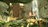 sp101322128380858.jpg