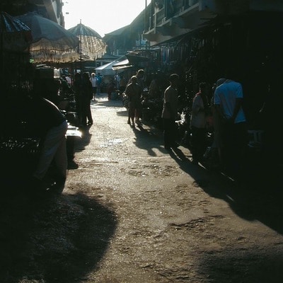 MUS000862240.jpg