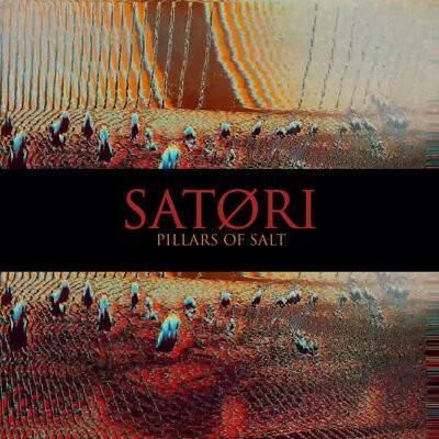 Satori - Pillars of Salt CD Album - Used