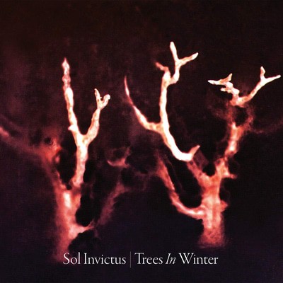 Sol Invictus - Trees in Winter CD Album - Used
