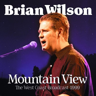 Brian Wilson - Mountain View CD Album - Used