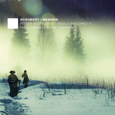 Pieter Wispelwey - Pieter Wispelwey/Paolo Giacometti: The Complete Duos/Rondo CD Album - Used