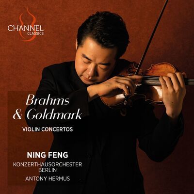 Johannes Brahms - Brahms & Goldmark: Violin Concertos CD Album - Used