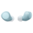 PI090000051245__Blue__1.png